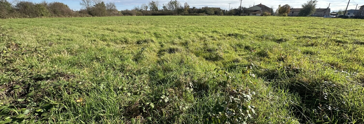 Terrain  12280 m² à vendre à Belrupt (88260)