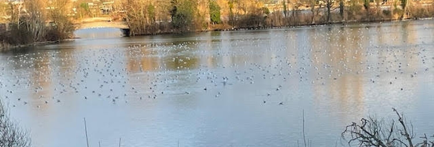 Appartement 3 Pièces 61 m² à vendre à Viry-Châtillon (91170)