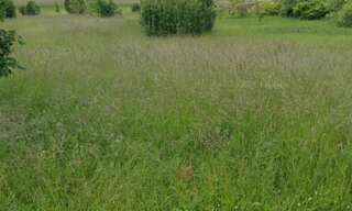 Terrain  1121 m² à vendre à Briou (41370)