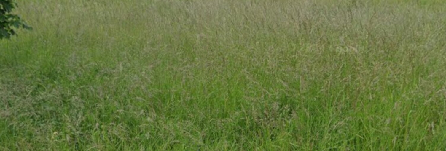 Terrain  1121 m² à vendre à Briou (41370)