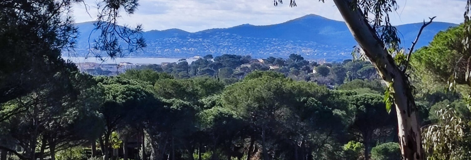 Appartement 3 Pièces 43 m² à vendre à Saint-Raphaël (83700)