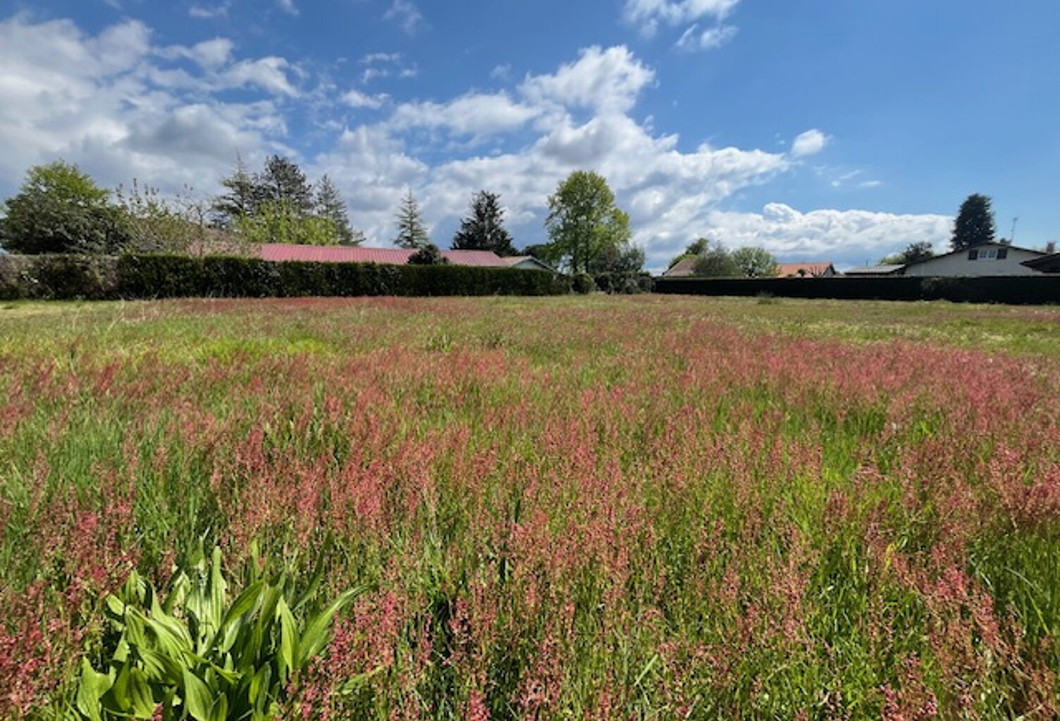 À acheter à Lit-Et-Mixe : terrain de 1878m2 — photo 1