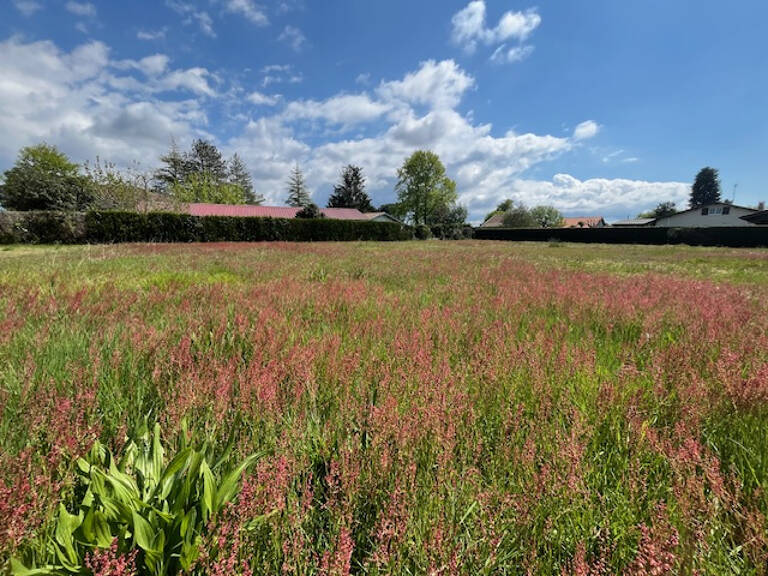 À acheter à Lit-Et-Mixe : terrain de 1878m2 — photo 1