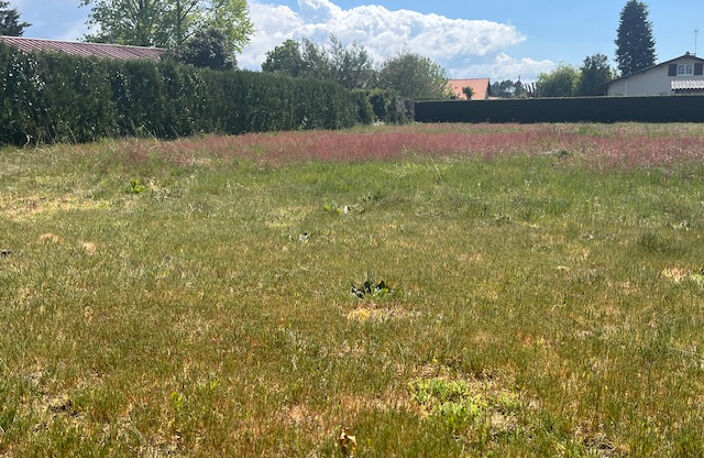 À acheter à Lit-Et-Mixe : terrain de 1878m2 — photo 3