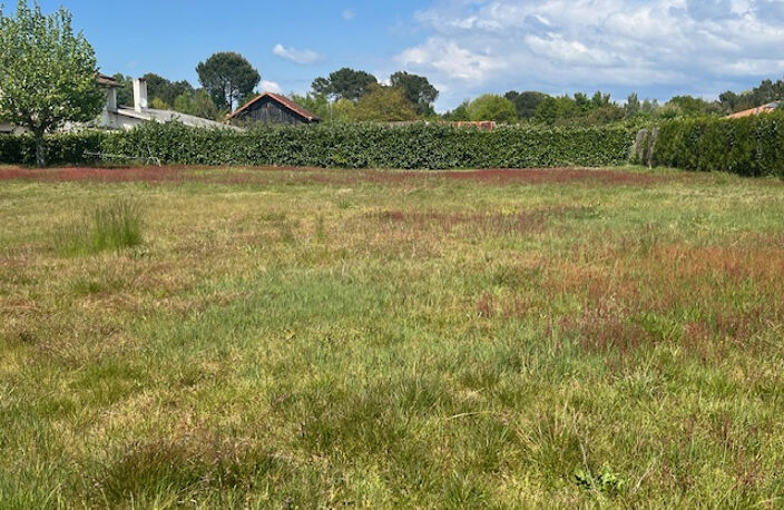 À acheter à Lit-Et-Mixe : terrain de 1878m2 — photo 4