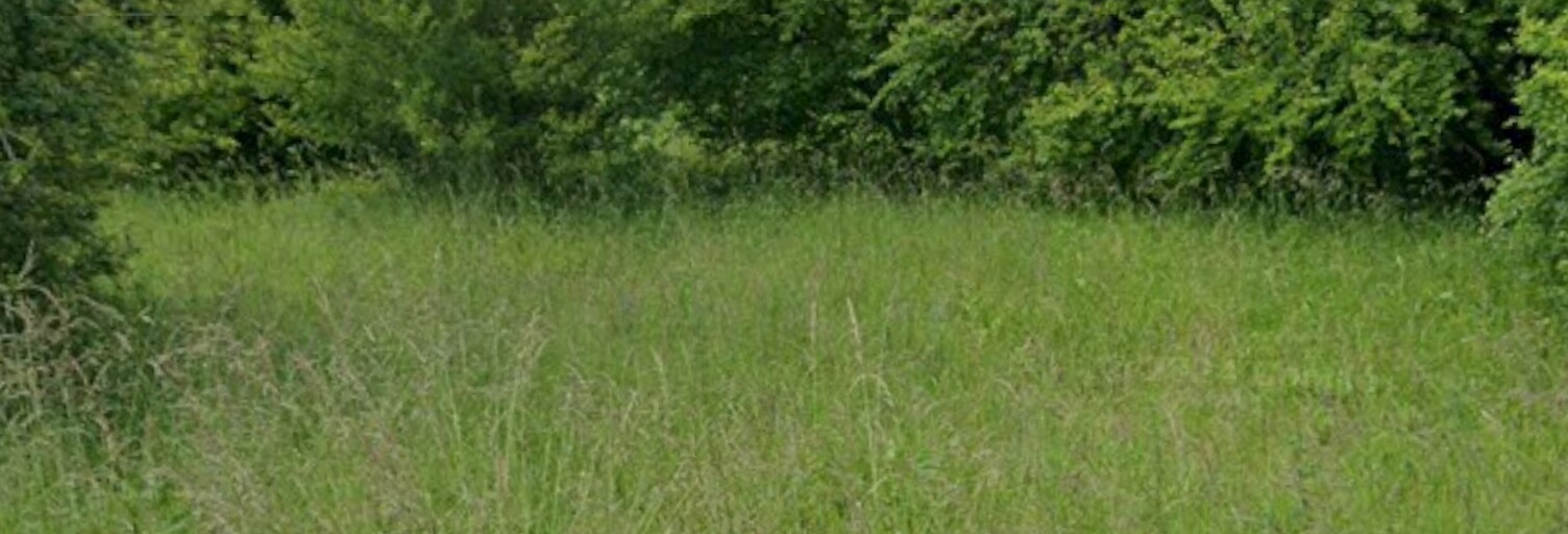 Terrain  1034 m² à vendre à Briou (41370)