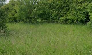 Terrain  1034 m² à vendre à Briou (41370)