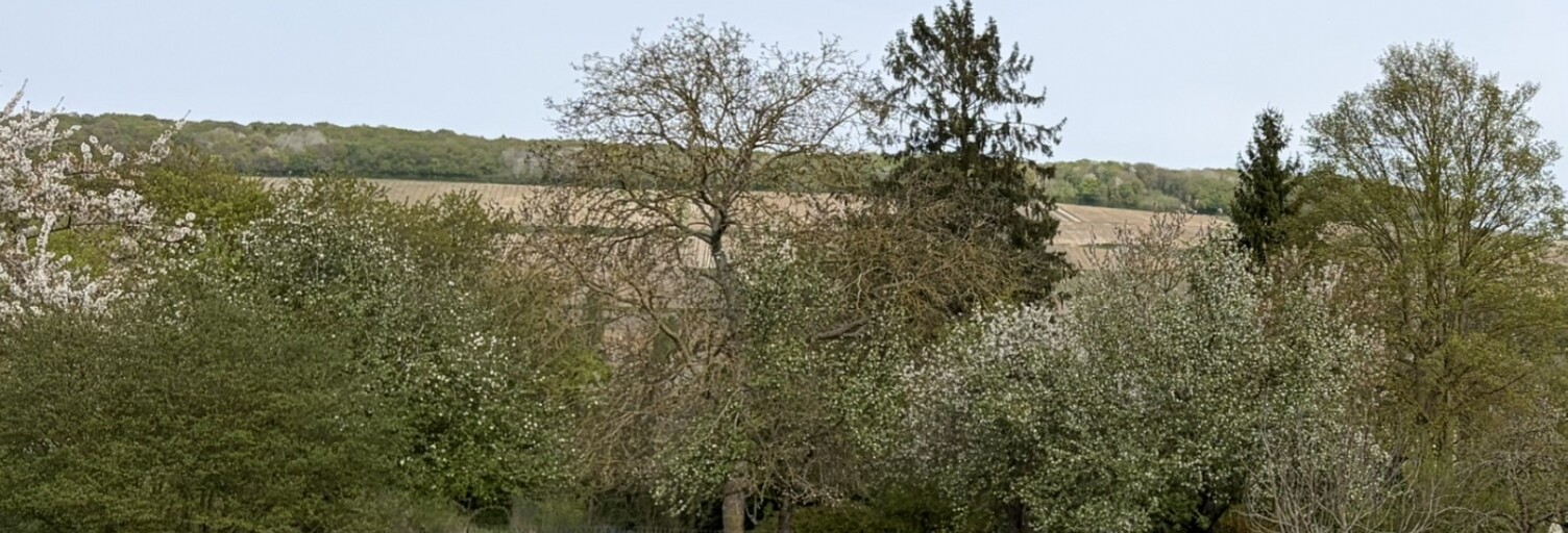Terrain  744 m² à vendre à Blesmes (02400)