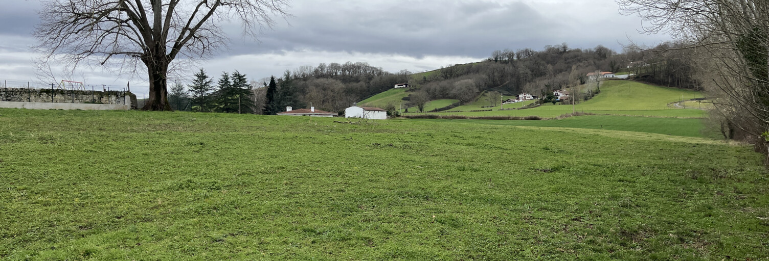 Terrain  1186 m² à vendre à Armendarits (64640)