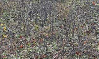 Terrain  1170 m² à vendre à Saint-Bonnet-près-Riom (63200)