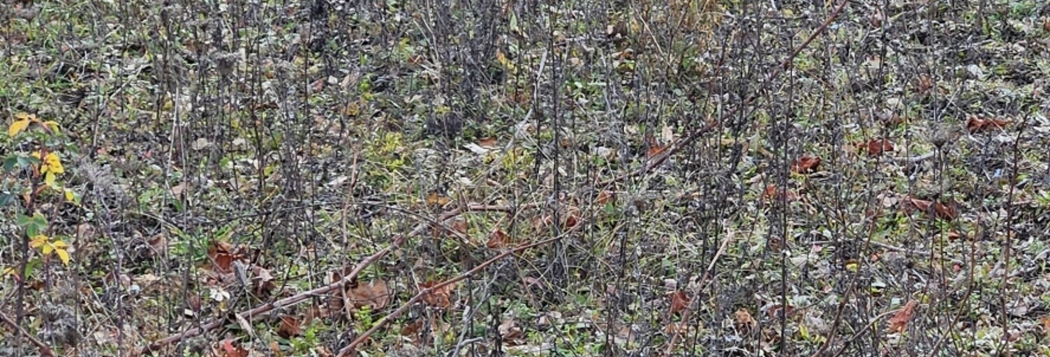 Terrain  1170 m² à vendre à Saint-Bonnet-près-Riom (63200)