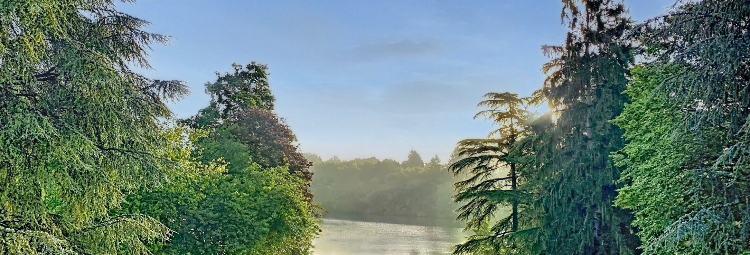 Maison 9 Pièces 346 m² à vendre à La Chapelle-sur-Erdre (44240)