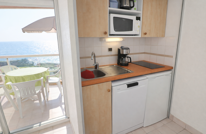 A VENDRE 2 PIECES AVEC TERRASSE FACE A LA MER ET PARKING PRI — photo 3