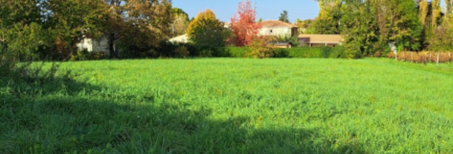 Terrain  800 m² à vendre à Saint-Denis-de-Pile (33910)