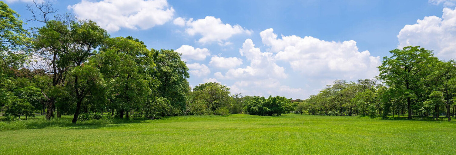 Terrain  485 m² à vendre à Beychac-et-Caillau (33750)