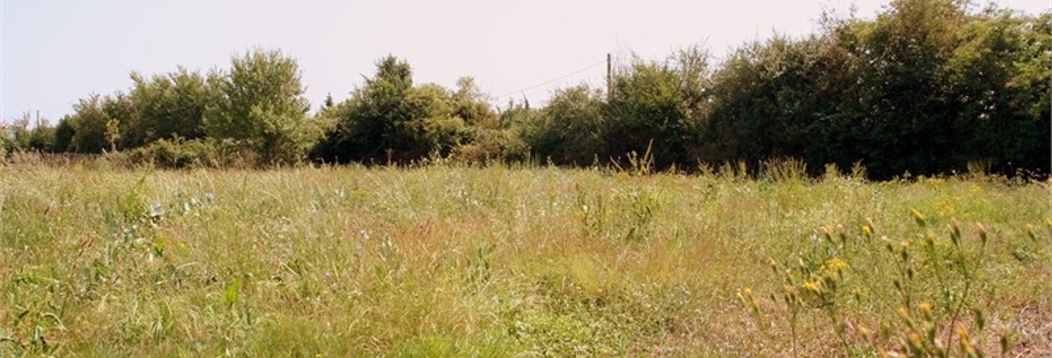 Terrain  800 m² à vendre à Maransin (33230)