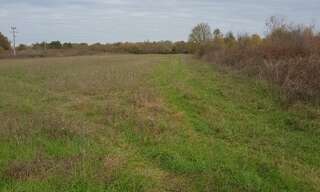 Terrain  650 m² à vendre à Bonzac (33910)