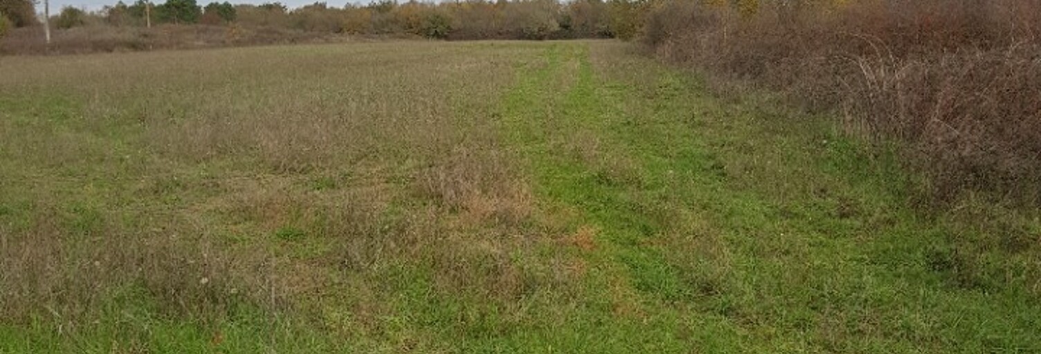 Terrain  650 m² à vendre à Bonzac (33910)