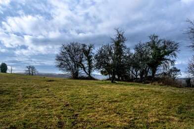 Terrain  39000 €