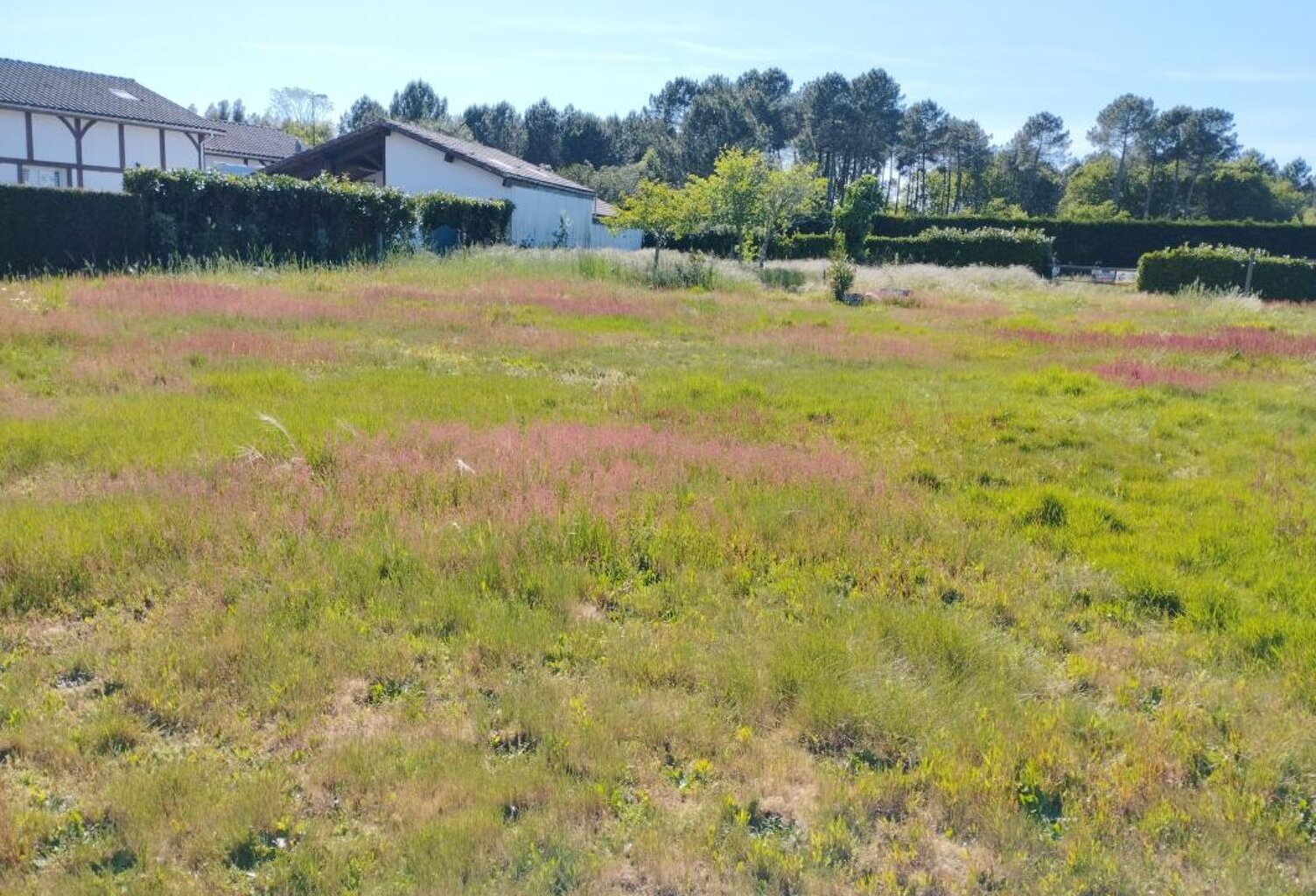 TERRAIN CONSTRUCTIBLE 1878 M² LIT ET MIXE — photo 1