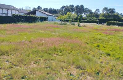TERRAIN CONSTRUCTIBLE 1878 M² LIT ET MIXE — photo du bien