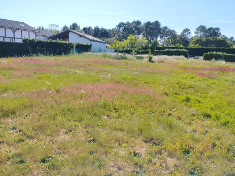 TERRAIN CONSTRUCTIBLE 1878 M² LIT ET MIXE — photo 1