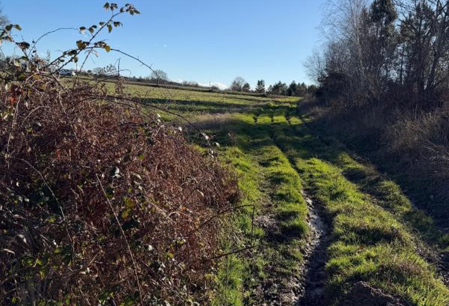 Terrain d'agrément ou de loisirs de 12465 m² non constructible — photo 1