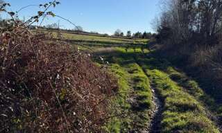 Terrain  12465 m² à vendre à Montsoué (40500)