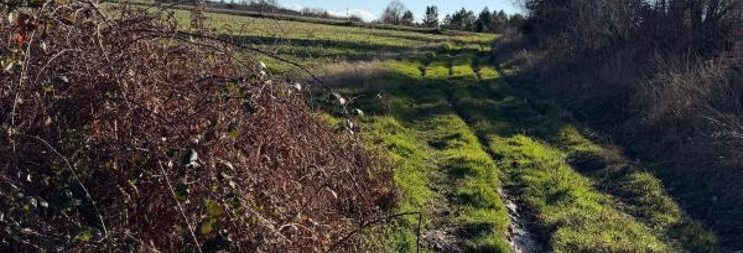 Terrain  12465 m² à vendre à Montsoué (40500)