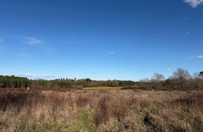 Terrain d'agrément ou de loisirs de 12465 m² non constructible — photo 3