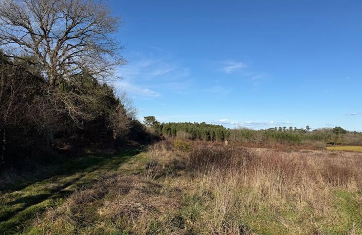 Terrain d'agrément ou de loisirs de 12465 m² non constructible — photo 4