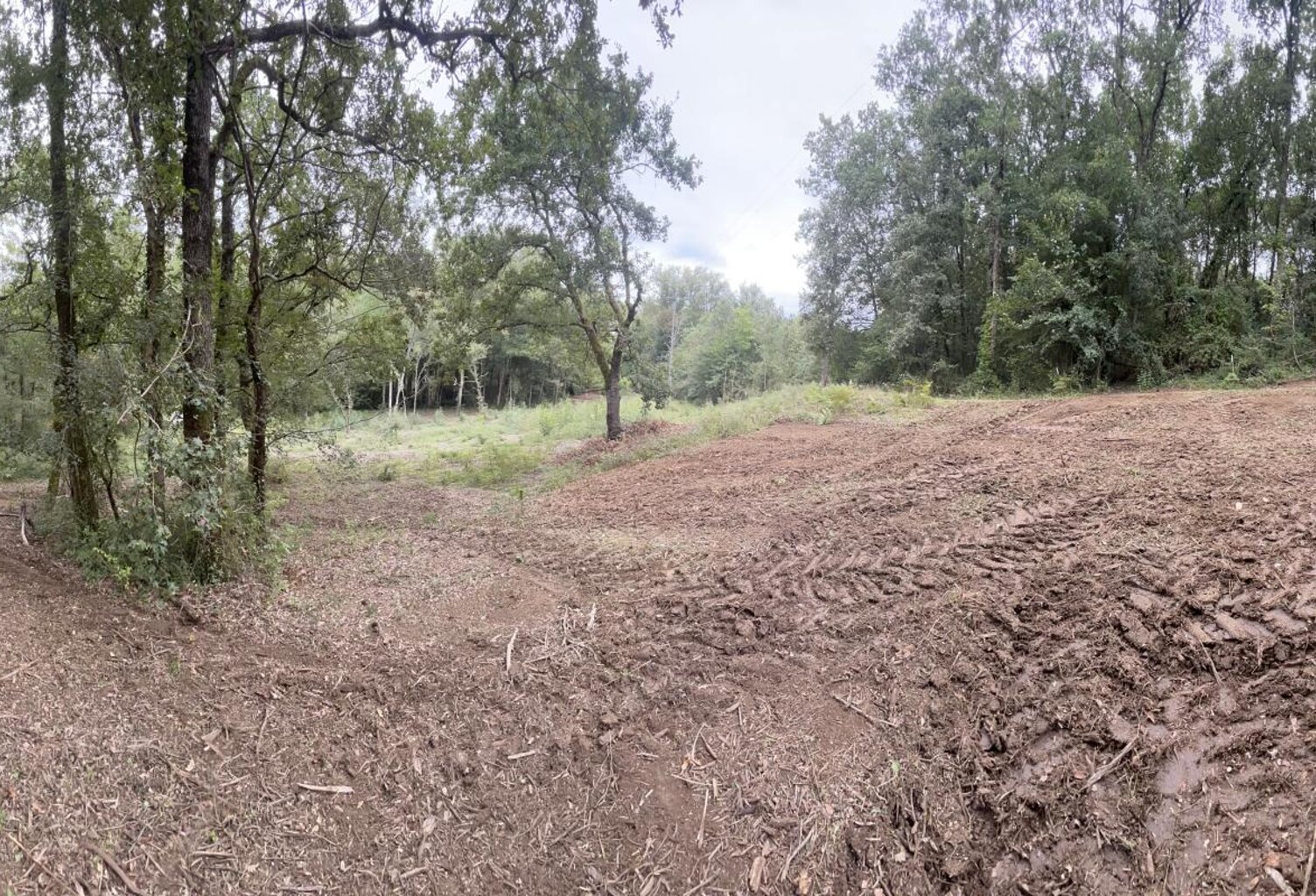 Terrain À Vendre — photo 1