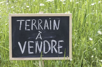 Terrain  260000 €