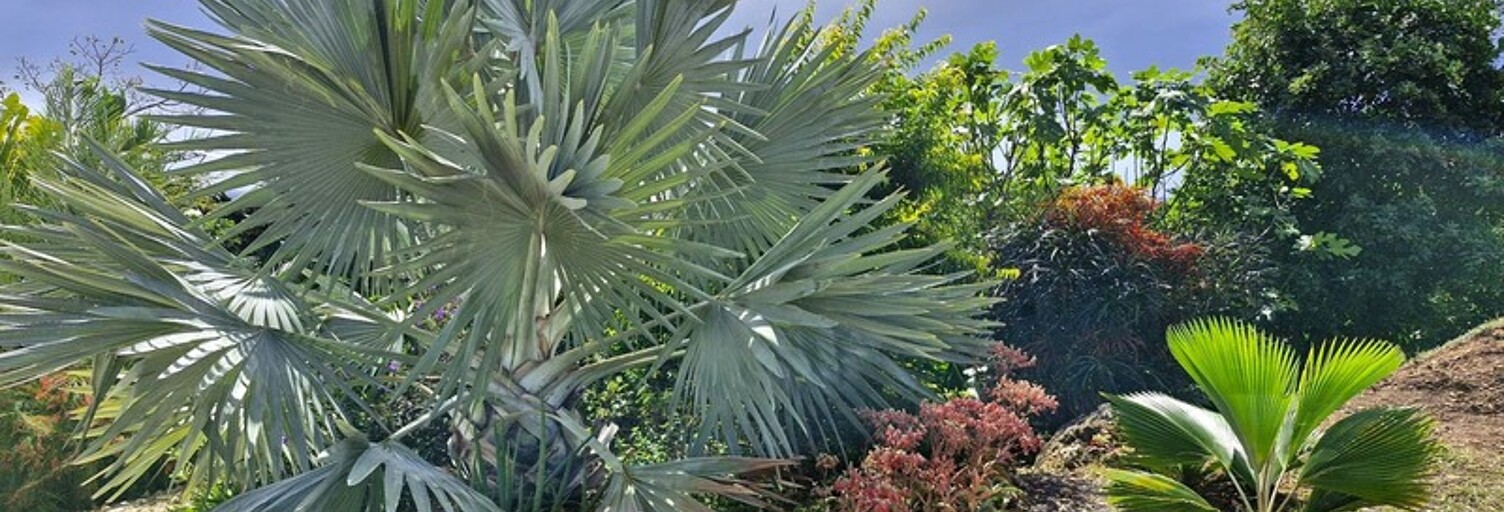 Maison 6 Pièces 160 m² à vendre à Grand-Bourg (97112)