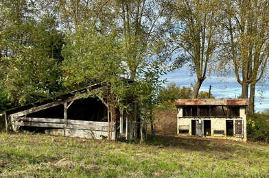 Terrain  29000 €