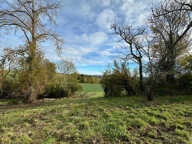 Dpt Gers (32) - à BELMONT terrain à vendre de 3311 m² — photo 4