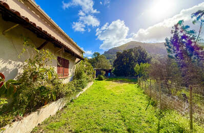 SAGONE (Corse) : Propriete à vendre, maison T4 + dépendance avec 2 appartements T1, sur terrain plat de 5000m2 — photo du bien