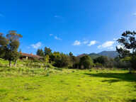 SAGONE (Corse) : Propriete à vendre, maison T4 + dépendance avec 2 appartements T1, sur terrain plat de 5000m2 — photo 2