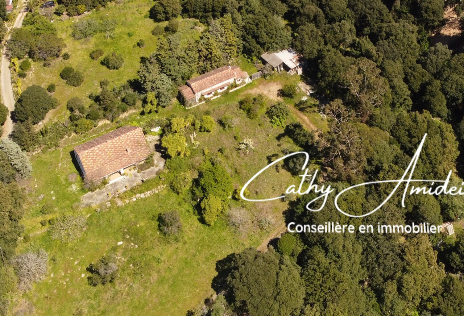 SAGONE (Corse) : Propriete à vendre, maison T4 + dépendance avec 2 appartements T1, sur terrain plat de 5000m2 — photo 1