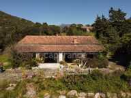 SAGONE (Corse) : Propriete à vendre, maison T4 + dépendance avec 2 appartements T1, sur terrain plat de 5000m2 — photo 2