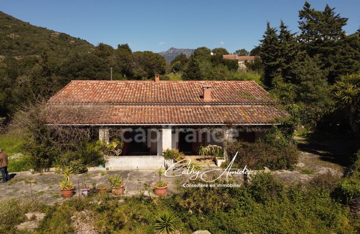 SAGONE (Corse) : Propriete à vendre, maison T4 + dépendance avec 2 appartements T1, sur terrain plat de 5000m2 — photo 2