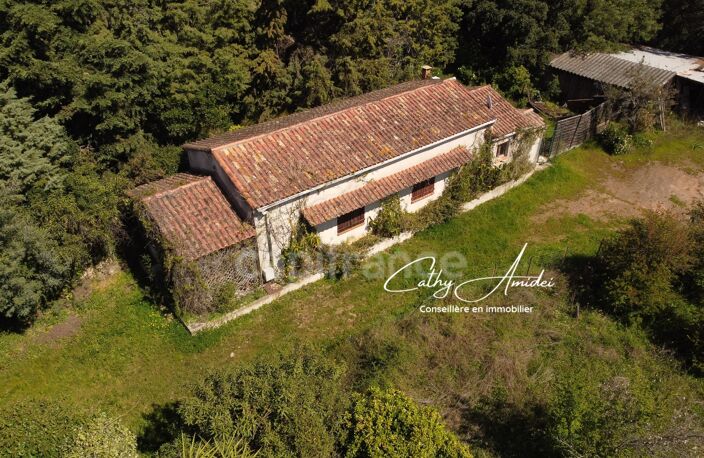 SAGONE (Corse) : Propriete à vendre, maison T4 + dépendance avec 2 appartements T1, sur terrain plat de 5000m2 — photo 3