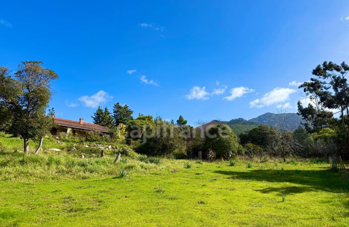 SAGONE (Corse) : Propriete à vendre, maison T4 + dépendance avec 2 appartements T1, sur terrain plat de 5000m2 — photo 4