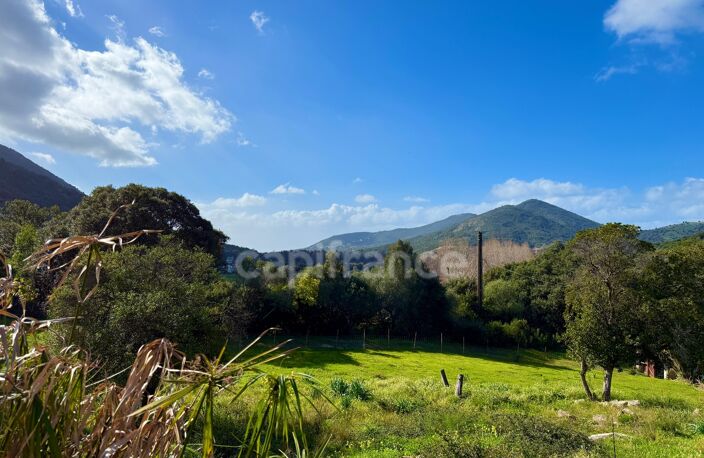SAGONE (Corse) : Propriete à vendre, maison T4 + dépendance avec 2 appartements T1, sur terrain plat de 5000m2 — photo 5