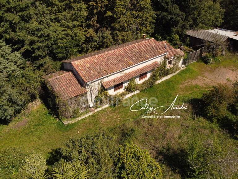 SAGONE (Corse) : Propriete à vendre, maison T4 + dépendance avec 2 appartements T1, sur terrain plat de 5000m2 — photo 1