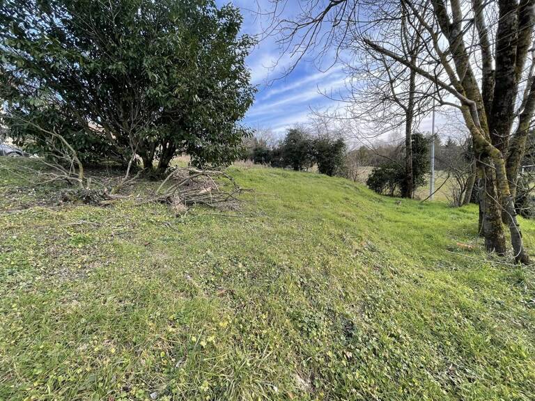 Terrain — photo 1