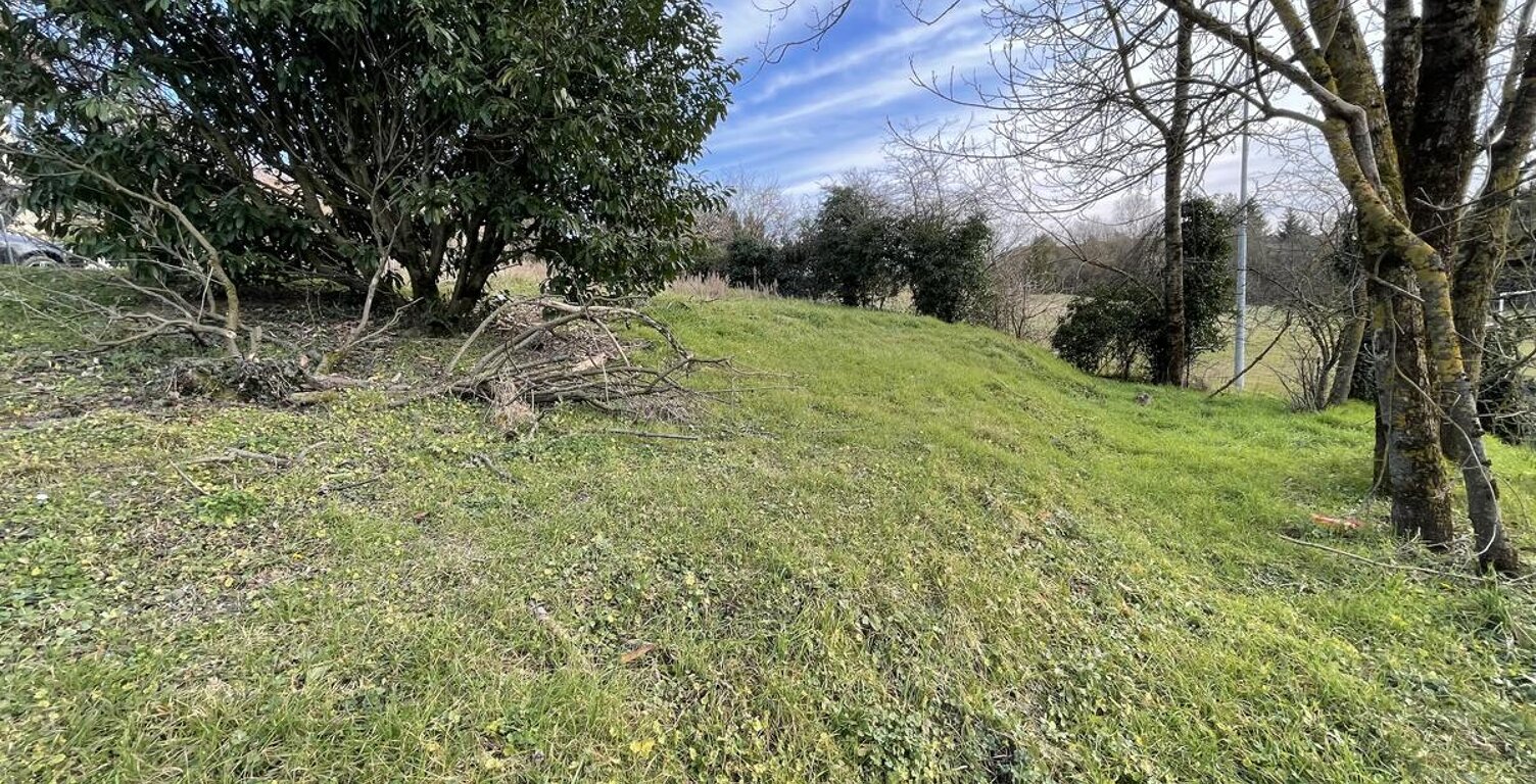 Terrain — photo 1