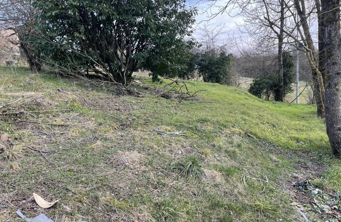 Terrain — photo 3