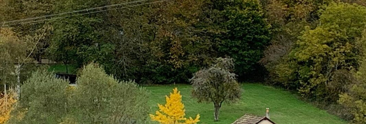 Maison 2 Pièces 33 m² à vendre à Saint-Honoré-les-Bains (58360)