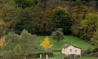 Maison 2 Pièces 33 m² à vendre à Saint-Honoré-les-Bains (58360)